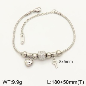 2B4003248vbpb-617  Stainless Steel Bracelet