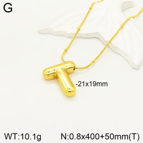 2N2004093vbll-472  Stainless Steel Necklace