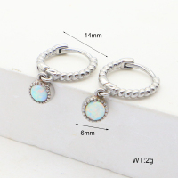 R68A3669  316 SS Synthetic Opal ,Handmade Polished  Stainless Steel Earrings