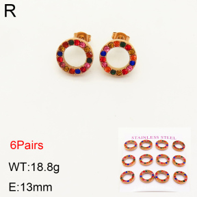 2E4003335ajha-436  Stainless Steel Earrings