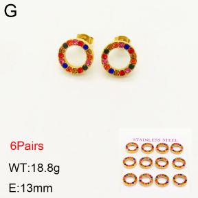 2E4003336bipa-436  Stainless Steel Earrings