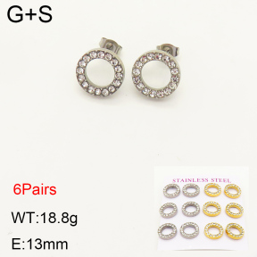 2E4003339aill-436  Stainless Steel Earrings