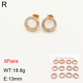 2E4003340bipa-436  Stainless Steel Earrings