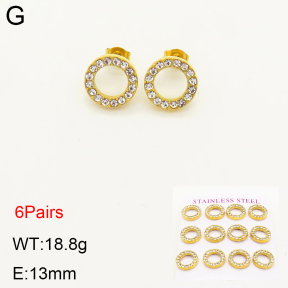 2E4003341vina-436  Stainless Steel Earrings