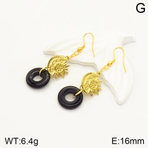 2E4003344vhmv-666  Stainless Steel Earrings