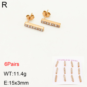 2E4003346bipa-436  Stainless Steel Earrings