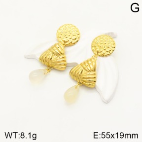 2E4003354vhmv-666  Stainless Steel Earrings