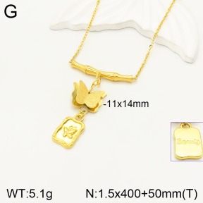 2N2004104vhmv-666  Stainless Steel Necklace