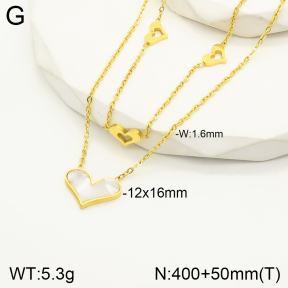 2N3001644bhva-669  Stainless Steel Necklace