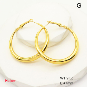 6E2006670bbpj-742  Stainless Steel Earrings