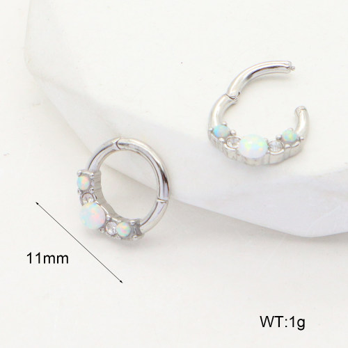 6E4004019bhkj-G034  316 SS Czech Stones & Synthetic Opal ,Handmade Polished  Stainless Steel Earrings