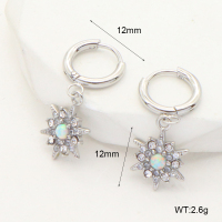 6E4004046vhlm-G034  316 SS Czech Stones & Synthetic Opal ,Handmade Polished  Stainless Steel Earrings