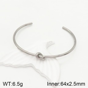 2BA201074vbmb-434  Stainless Steel Bangle