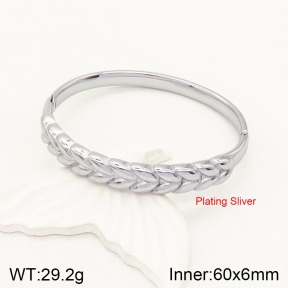 2BA201077bhil-434  Stainless Steel Bangle