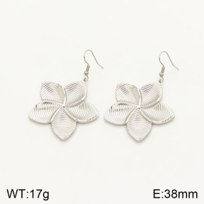 2E2003976vbnb-434  Stainless Steel Earrings