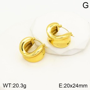 2E2003979vbnl-434  Stainless Steel Earrings