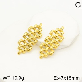 2E2003980bbml-434  Stainless Steel Earrings