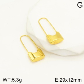 2E2003981vbnl-434  Stainless Steel Earrings