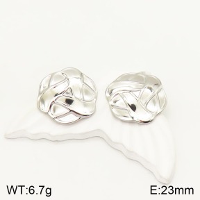 2E2003983ablb-434  Stainless Steel Earrings