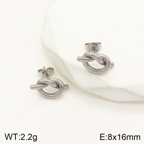 2E2003985aakl-434  Stainless Steel Earrings