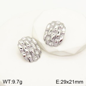 2E2003987ablb-434  Stainless Steel Earrings