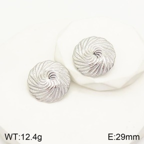 2E2003989ablb-434  Stainless Steel Earrings