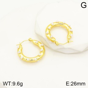 2E3002167vbnl-434  Stainless Steel Earrings