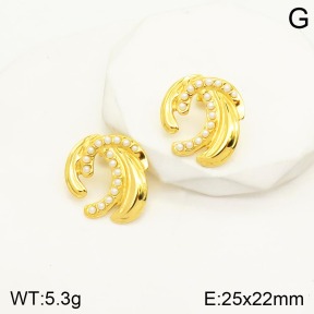 2E3002168vbnl-434  Stainless Steel Earrings