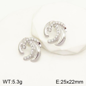 2E3002169vbnb-434  Stainless Steel Earrings