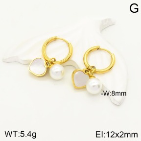 2E3002171bbml-434  Stainless Steel Earrings