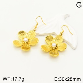 2E3002172vbpb-434  Stainless Steel Earrings