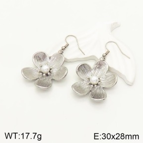 2E3002173abol-434  Stainless Steel Earrings