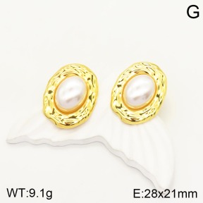 2E3002174bbml-434  Stainless Steel Earrings