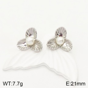 2E3002176vbnb-434  Stainless Steel Earrings