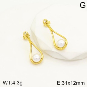 2E3002177vbnl-434  Stainless Steel Earrings