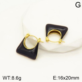 2E3002186abol-434  Stainless Steel Earrings