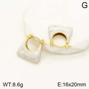 2E3002188abol-434  Stainless Steel Earrings