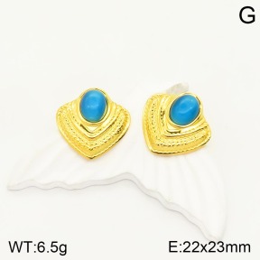 2E4003314abol-434  Stainless Steel Earrings