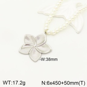 2N3001631vbnl-434  Stainless Steel Necklace