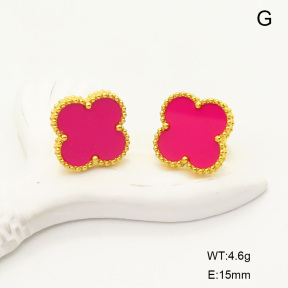 6E4004083vbmb-669  Stainless Steel Earrings