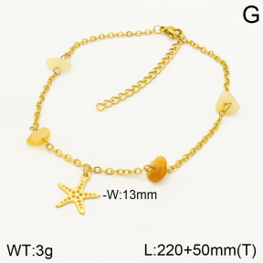 2A9001099vbll-350  Stainless Steel Anklets