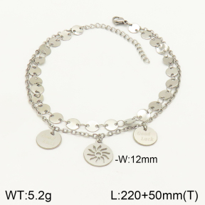 2A9001110vbll-350  Stainless Steel Anklets