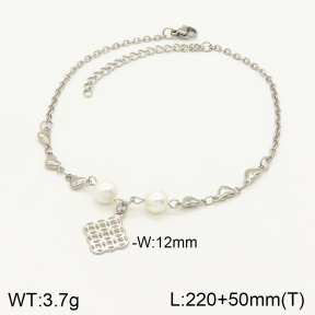 2A9001119ablb-350  Stainless Steel Anklets