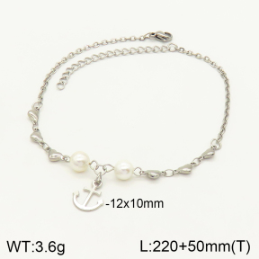 2A9001120ablb-350  Stainless Steel Anklets