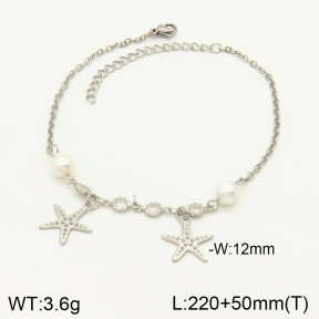 2A9001123vbll-350  Stainless Steel Anklets