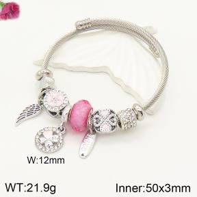 F2BA40780vbpb-J50  Fashion Bangle