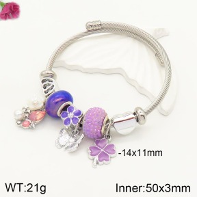 F2BA40787vbpb-J50  Fashion Bangle