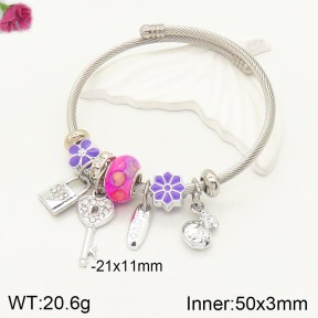 F2BA40788vbpb-J50  Fashion Bangle