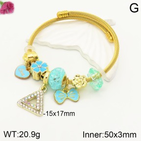 F2BA40800vhha-J50  Fashion Bangle