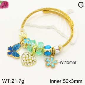 F2BA40804vhha-J50  Fashion Bangle